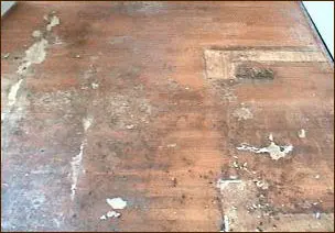 Wood Floor Inspection Orange County